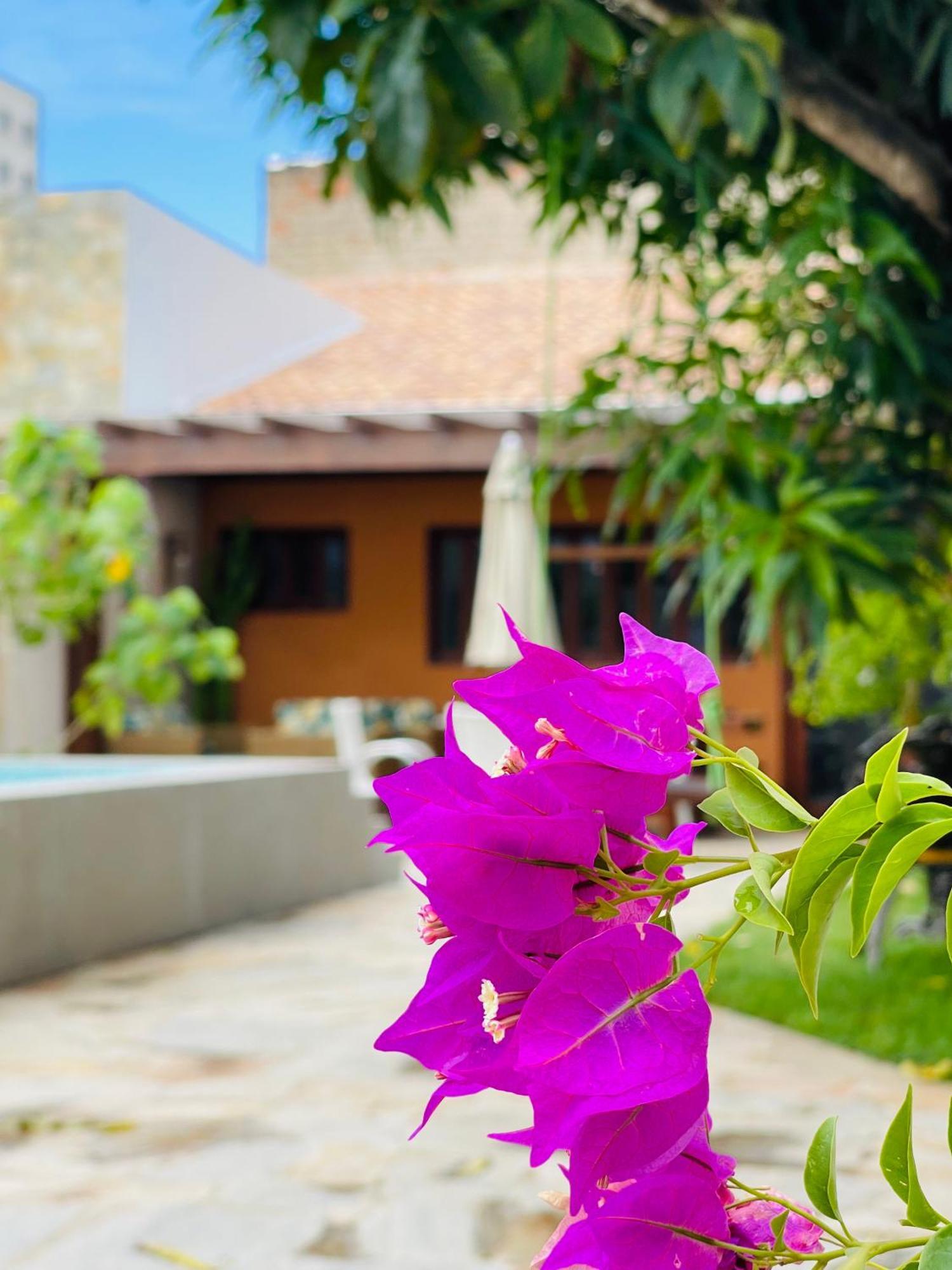 Casa de férias Casa De Em - Casa Flor